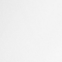 Ткань Бифлекс в Пензе