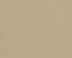 Ткань Оксфорд PVC 420 D 260+/-20гр.м2 (0.25 мм)  рул 50м гладь (Бежевый 1113)