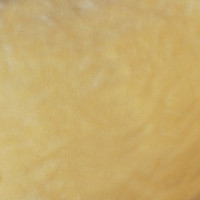 Мех искусственный, коротковорсовый  в Пензе