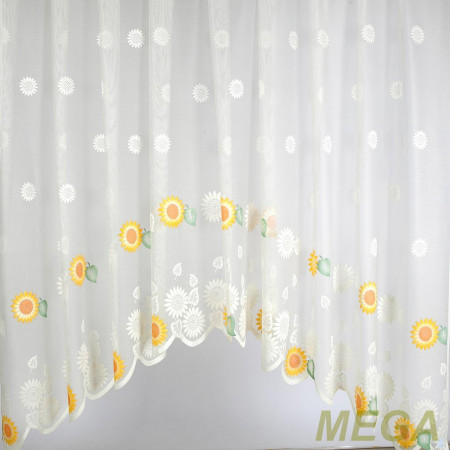 Арка в Пензе