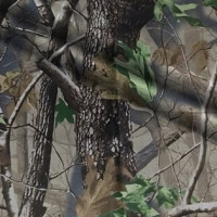 Ткань Оксфорд в Пензе